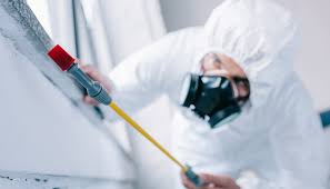 Best Pest Prevention Services  in Homeland Park, SC